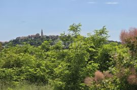 ISTRA, BUJE - Građevinsko zemljište s dozvolom za prizemnicu s bazenom, prekrasan pogled na more, Buje, Terra