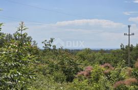 ISTRA, BUJE - Građevinsko zemljište s dozvolom za prizemnicu s bazenom, prekrasan pogled na more, Buje, Land