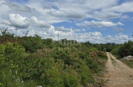 ISTRA, BUJE - Građevinsko zemljište s dozvolom za prizemnicu s bazenom, prekrasan pogled na more, Buje, Terrain