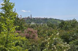 ISTRA, BUJE - Građevinsko zemljište s dozvolom za prizemnicu s bazenom, prekrasan pogled na more, Buje, Terrain