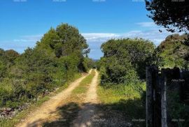 Poljoprivredno zemljište Prodaja poljoprivrednog zemljišta, Peroj!, Vodnjan, Land