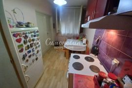 Miljakovac,1.0., 34m2, terasa, treći/pet ID#1697, Rakovica, شقة