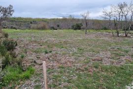 Poljoprivredno zemljište Prodaja poljoprivrednog zemljišta, Marčana, Marčana, Terreno