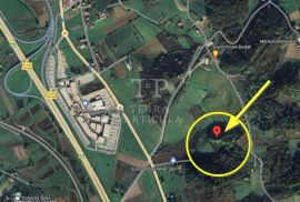 Začretje, poljoprivredno zemljište od 5.629 m², Sveti Križ Začretje, Tierra