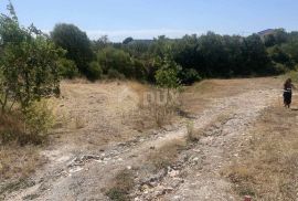 ISTRA, PULA, VODNJAN - građevinsko zemljište 737 m2 za stambenu zgradu - stanove / apartmane / obiteljsku kuću / villu! PRILIKA!, Vodnjan, Land