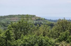 ISTRA, BUJE - Građevinsko zemljište s dozvolom za 5 vila s bazenom, prekrasan pogled na more, Buje, Land