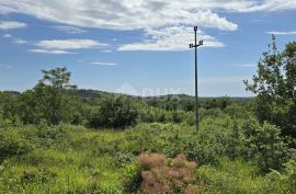 ISTRA, BUJE - Građevinsko zemljište s dozvolom za 5 vila s bazenom, prekrasan pogled na more, Buje, Terrain