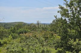 ISTRA, BUJE - Građevinsko zemljište s dozvolom za dvije vile s bazenom, prekrasan pogled na more, Buje, Land