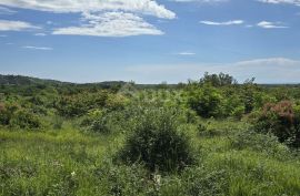 ISTRA, BUJE - Građevinsko zemljište s dozvolom za dvije vile s bazenom, prekrasan pogled na more, Buje, Terreno