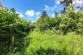 Veliko zemljište Donje Jelenje, Jelenje, Terrain