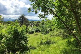 Veliko zemljište Donje Jelenje, Jelenje, Terrain