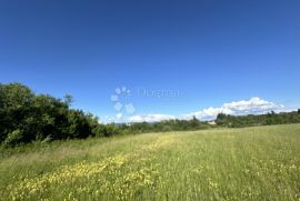 GOSPIĆ  16312 M2 GRAĐEVINSKO / POLJOPRIVREDNO ZEMLJIŠTE, Gospić, Γη