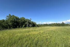 GOSPIĆ  16312 M2 GRAĐEVINSKO / POLJOPRIVREDNO ZEMLJIŠTE, Gospić, Terra