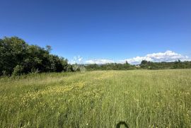 GOSPIĆ  16312 M2 GRAĐEVINSKO / POLJOPRIVREDNO ZEMLJIŠTE, Gospić, Terreno