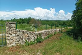 Iznimno zemljište između Bala i Rovinja sa građevinskom dozvolom, Bale, Tierra