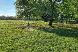 Iznimno zemljište između Bala i Rovinja sa građevinskom dozvolom, Bale, Terreno