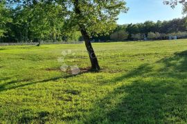 Iznimno zemljište između Bala i Rovinja sa građevinskom dozvolom, Bale, Terra