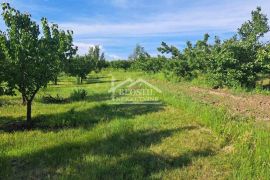 Grocka - Zaklopača - 36a ID#20591, Grocka, Γη