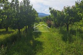 Grocka - Zaklopača - 36a ID#20591, Grocka, Земля