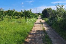 Grocka - Zaklopača - 36a ID#20591, Grocka, Γη