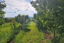 Grocka - Zaklopača - 36a ID#20591, Grocka, Земля