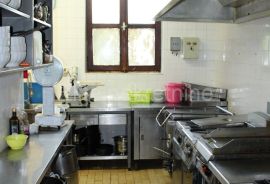 Istra, Žminj,POSLOVNA PRILIKA-restoran,dvije sale i terasa + stan 65m2, Žminj, Εμπορικά ακίνητα