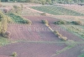 ISTRA, Cerovlje - Draguć, vrijedno poljoprivredno zemljište u ravnici, Cerovlje, Γη