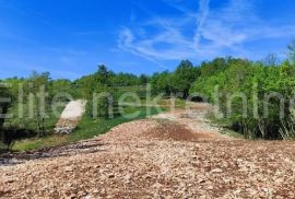 Istra, Barban - građevinsko zemljište 910 M2!, Barban, Terrain