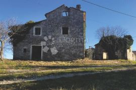 JEDINSTVENO IMANJE U POTPUNOJ PRIVATNOSTI NA ODLIČNOJ LOKACIJI, Grožnjan, Terra