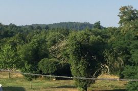 Kamena kuća s 2 stambene jedinice i konobom, Buje, Maison