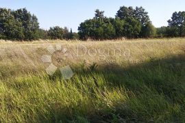 Poljoprivredno zemljište na rubu građevinske zone u okolici Žminja, Žminj, Land