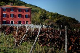 JEDINSTVENI UGOSTITELJSKI OBJEKT U MOTOVUNU, Motovun, Kuća