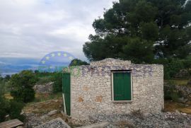 Brač, autohtona kamena kućica sa maslinikom i pogledom na more, prodaja, Milna, Ev