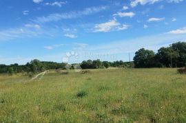 ŠUMBER, građevinsko zemljište na kraju sela, Sveta Nedelja, Land