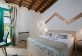 Motovun okolica, resort za investiciju na mirnoj lokaciji, Motovun, Maison