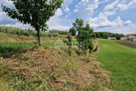 ISTRA, BARBAN - Građevinsko zemljište s otvorenim pogledom na zelenilo, Barban, Terreno