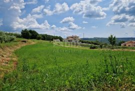 ISTRA, BARBAN - Građevinsko zemljište s otvorenim pogledom na zelenilo, Barban, Zemljište