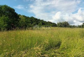 ISTRA, BUZET - Kamena ruševna kuća u srcu prirode, Buzet, Kuća