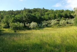 ISTRA, BUZET - Kamena ruševna kuća u srcu prirode, Buzet, بيت