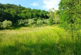 ISTRA, BUZET - Kompleks kamenih kućica okruženih prirodom, Buzet, Ev