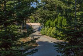 ISTRA, ŽMINJ - Ekskluzivno imanje, vila, prostrana okućnica s dodatnim sadržajima, Žminj, House