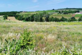 ISTRA, VIŽINADA - Građevinsko zemljište na traženoj lokaciji, Vižinada, Земля