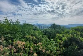 ISTRA, GRAČIŠĆE - Kamena kuća na potpunoj osami s pogledom na zelenilo, Gračišće, Famiglia