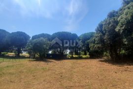 ISTRA, ROVINJ - Zemljište 729 m2, 500m od mora!, Rovinj, Terrain