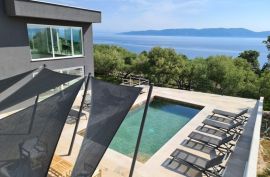 Moderna villa sa otvorenim pogledom na more i maslinikom, Labin,okolica, Labin, House
