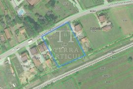 Bedekovčina, građevinsko zemljište 2.877 m², Bedekovčina, Terrain