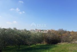 ISTRA, VIŽINADA - Građevinsko zemljište s pogledom na Motovun, Vižinada, Zemljište