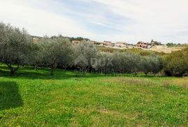 ISTRA, VIŽINADA - Građevinsko zemljište prekrasnog pogleda, Vižinada, Terreno