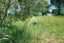 Prekrasno zemljište Valbandon, Fažana, Land