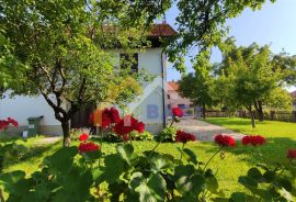 Obiteljska kuća Sveta Nedelja - okolica, Sveta Nedelja, Kuća